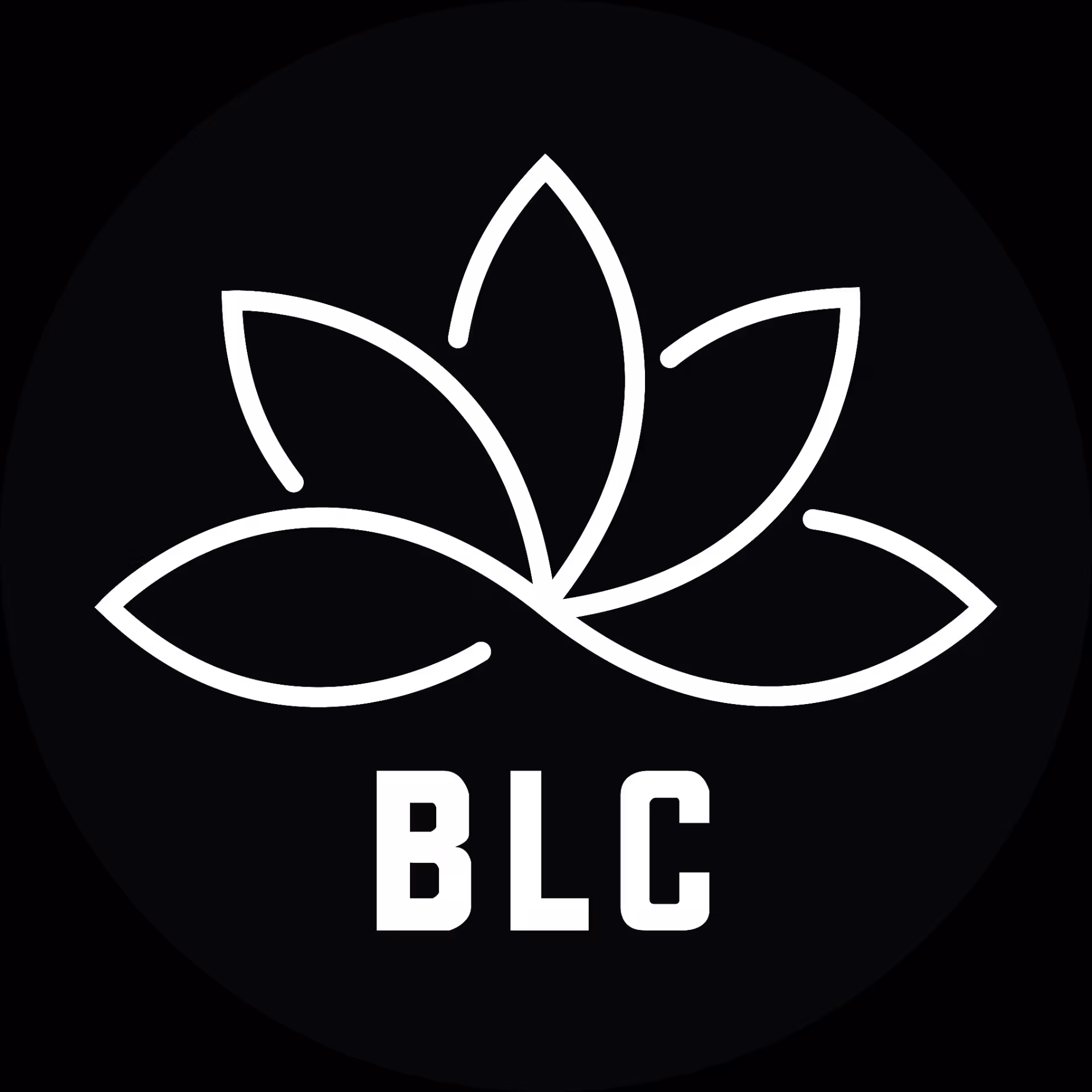 We just setup the BLC Page on Mispache